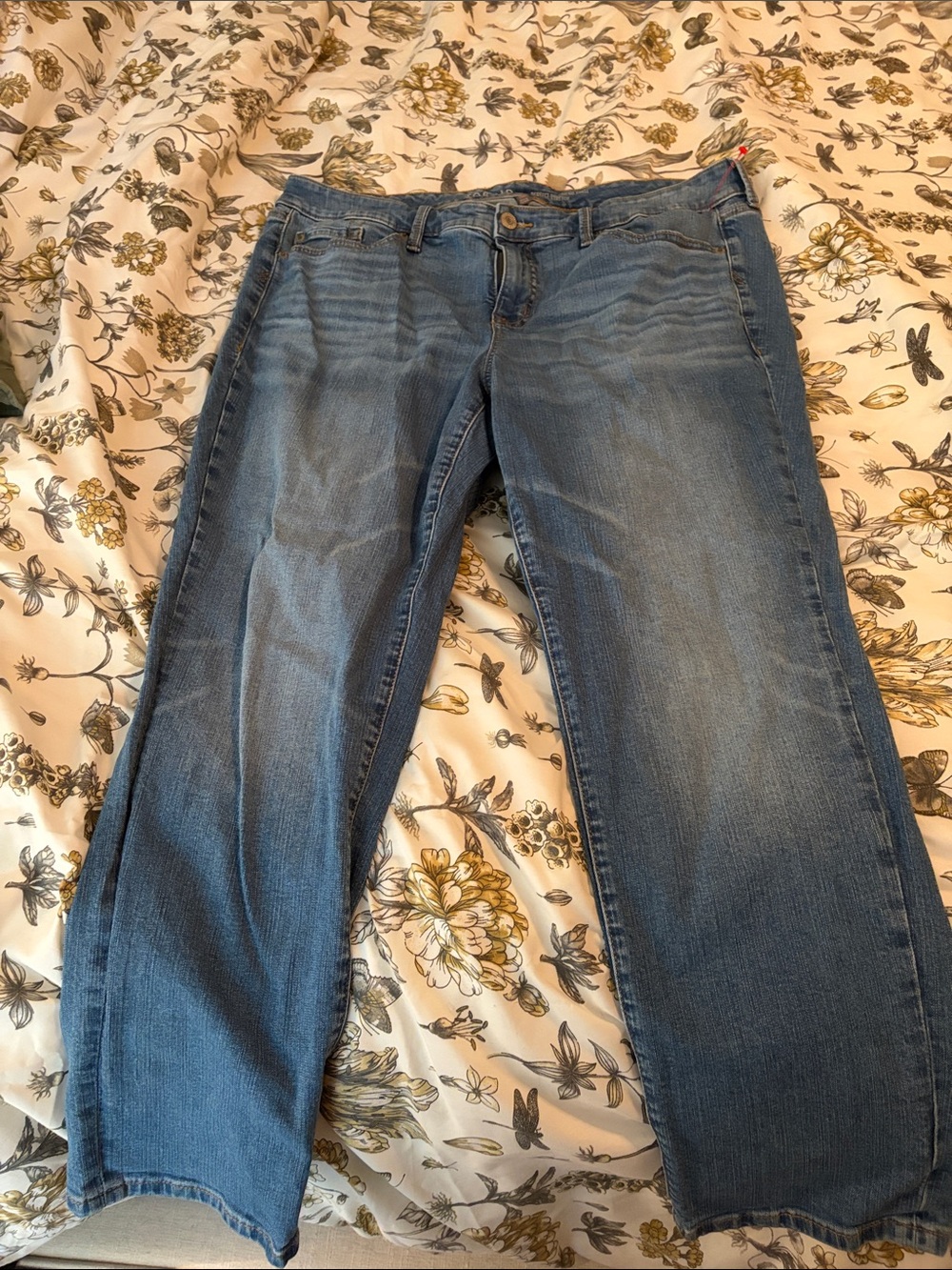 Torrid Classic Women's Blue Jeans